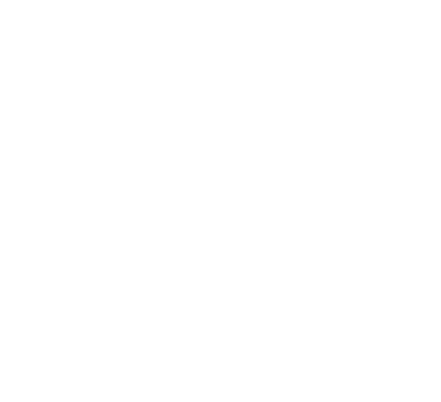 Electa Power Systems
